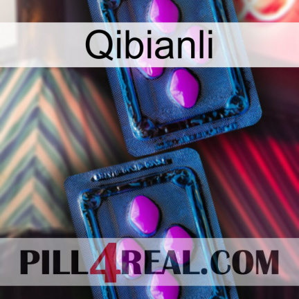 Qibianli 03